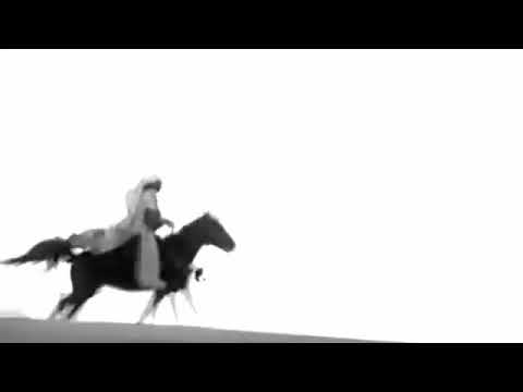 أقوى قصيدة للحاج باسم الكربلائي
