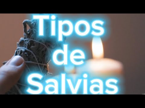 Tipos de Salvias