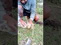 marusya outdoors camping fire #shorts #outdoorsurvival @Sergio_Outdoors @marusya outdoors