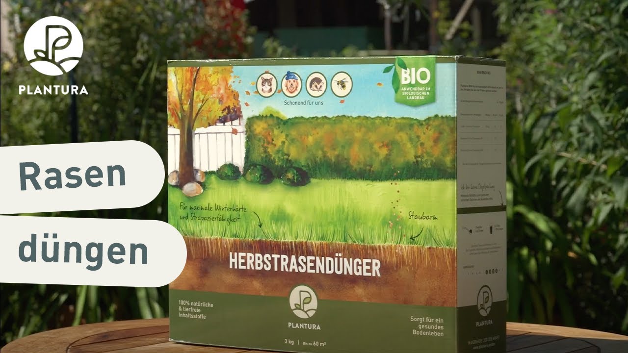 Rasen im Herbst dngen