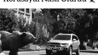 Cocuklari Hayvanlar Korusaydi Nasil Olurdu