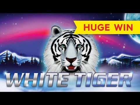 HUGE WIN! White Tiger Slot - INCREDIBLE SETUP!