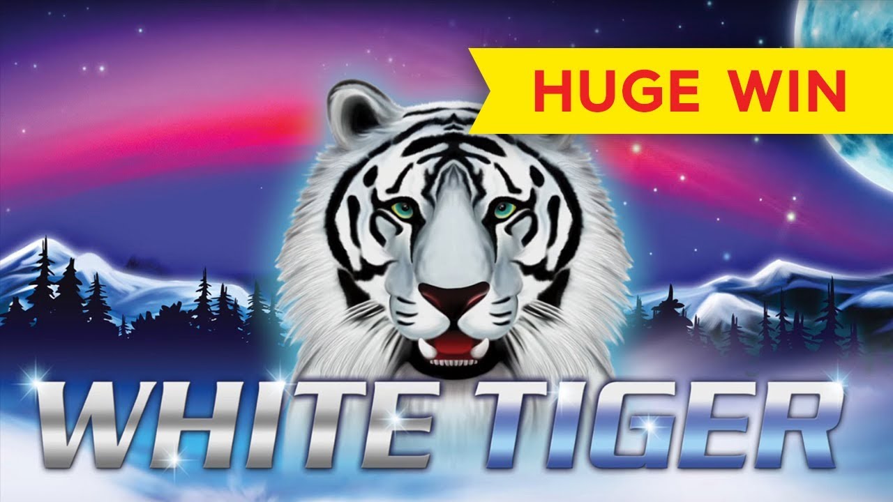 HUGE WIN! White Tiger Slot INCREDIBLE SETUP! YouTube