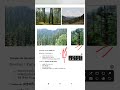 SSC GD 2026 GS: Himalayan Region Vegetation Trick! Eduquity Based Geography Question #sscgd2026 #ssc