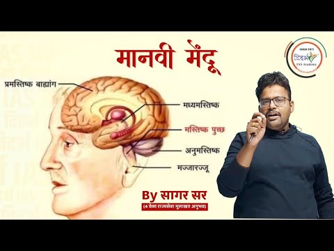 मानवी मेंदू by सागर सर (human brain part-02) | UPSC/MPSC | सामान्य विज्ञान