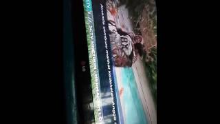 Download Amanda Manopo Cemburu Hubungan Angga Dan Syifa Status Selebriti Video MP3 Amanda Manopo Cemburu Hubungan Angga Dan Syifa Status Selebriti