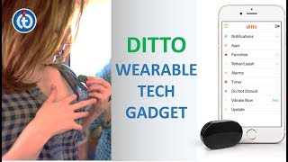 Ditto Wearable Tech Gadget | Forget Your Smart Phone screenshot 4