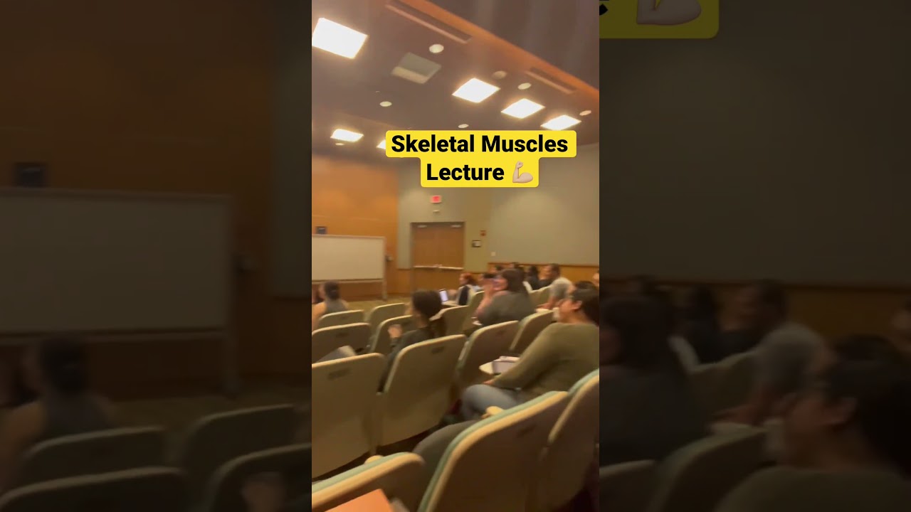 Skeletal Muscles Lecture! Are you ready to see the muscles in action?💪🏼