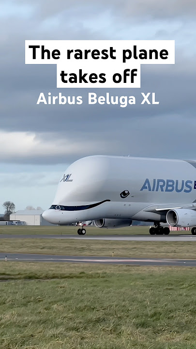 Take off of the flying whale - Airbus Beluga XL, a rare plane. #aviation#planespotting