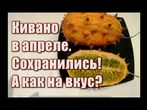 348_Кивано в апреле. Сохранились! А как на вкус?