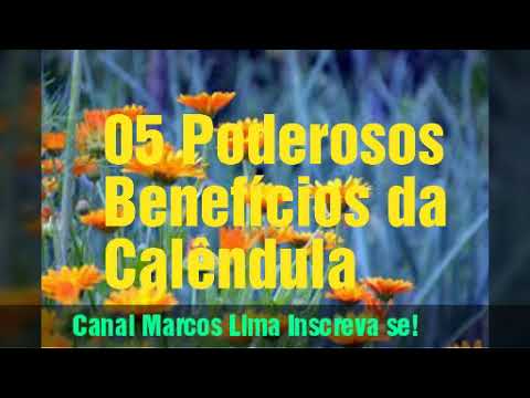 Vídeo: Calêndula (erva) - Propriedades úteis E Uso De Calêndula, Flores De Calêndula, Decocção, Tintura, Calêndula Durante A Gravidez