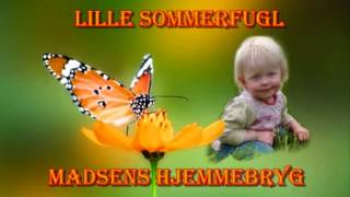 Video thumbnail of "Lille sommerfugl"