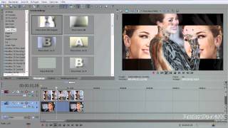 Sony Vegas Tutorial | Effect #10