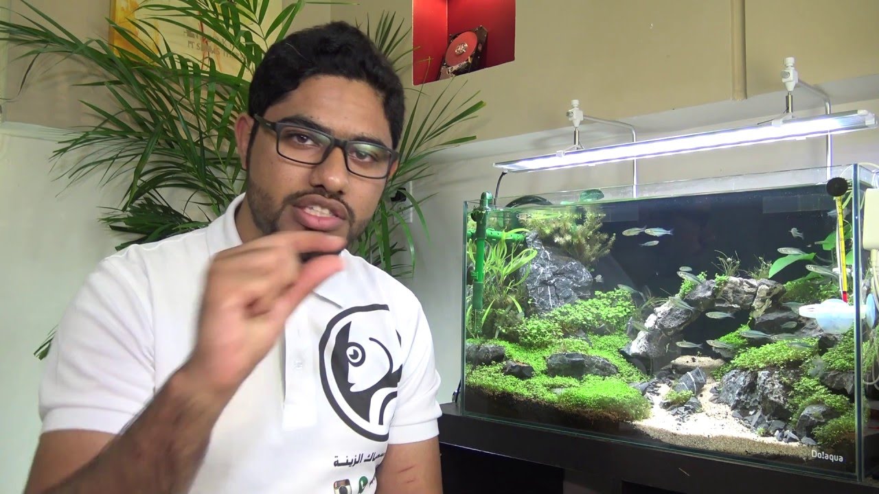 # كتب ومصادر تعليمية في هواية تربية الأسماك ..