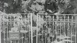 محمد رشدي عدوية