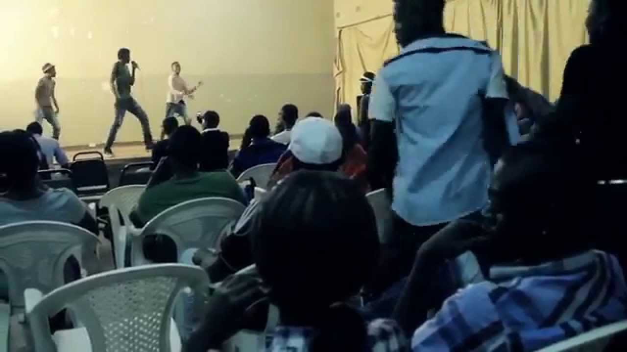 Dickya   Performance