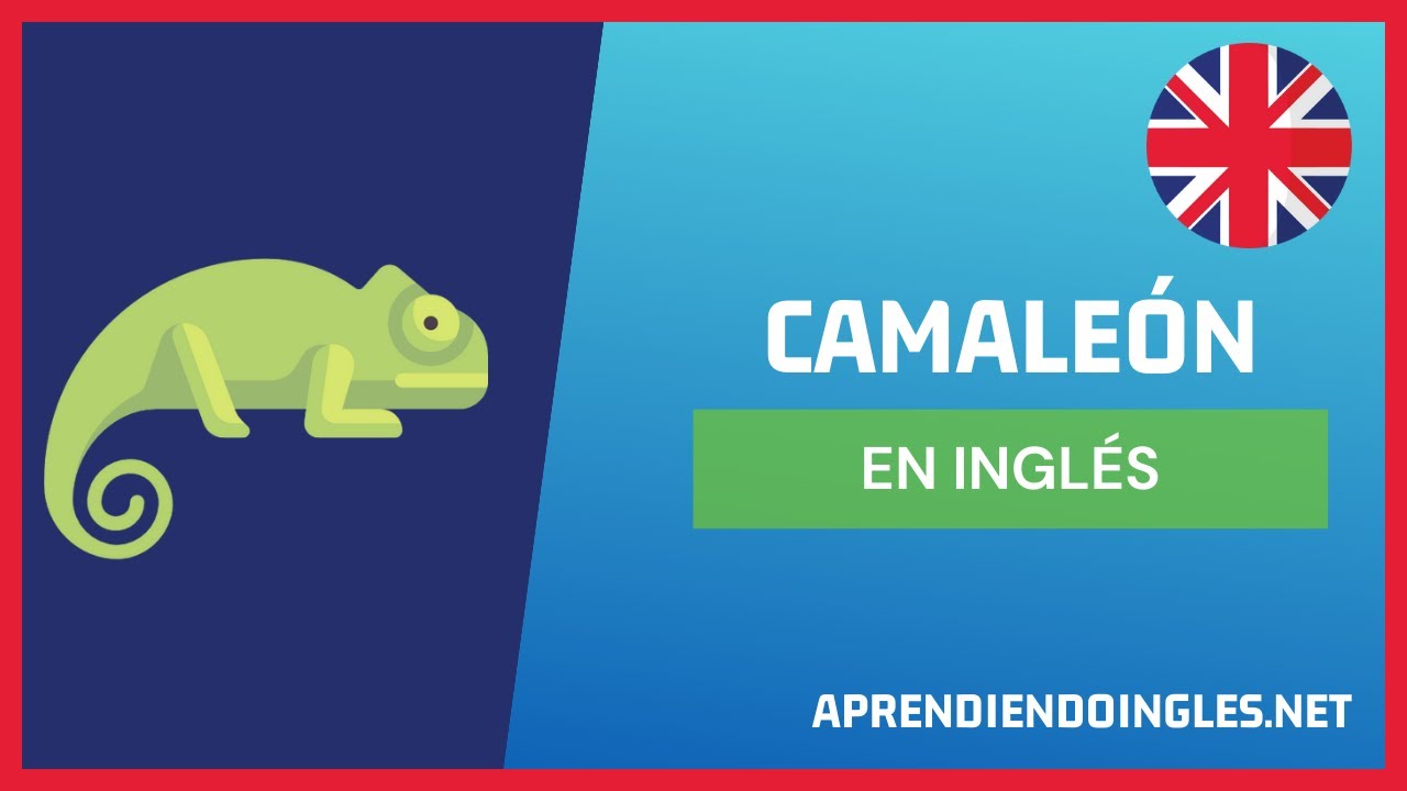 CÓMO se dice CAMALEÓN en INGLÉS 2022 🚀 APRENDE A ESCRIBIR CHAMELEON