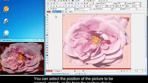 Titlebox Picture Object
