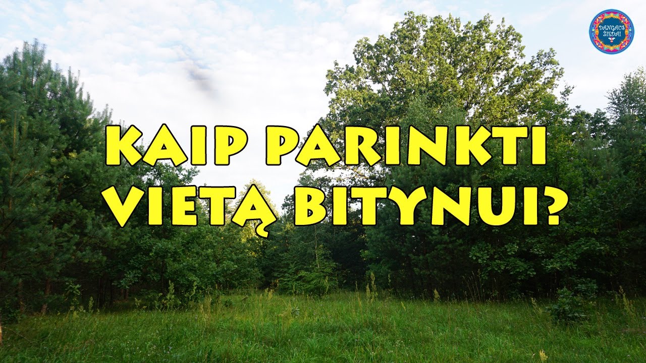 Kaip parinkti vietą bitynui ?