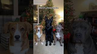 When You Can Only Open One Present