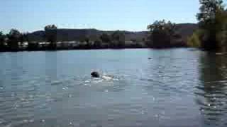 Siena's first swim