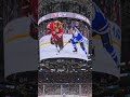 ||tiger and bear good gaming hockey performance interesting game || #ytshorts #interestingclips #sho