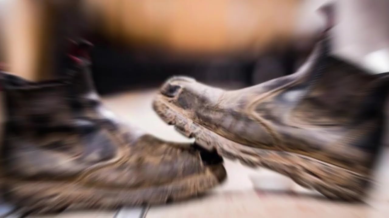 Redback. The Australian Boot