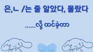 은 , ㄴ /는 줄 알았다,  몰랐다