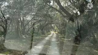 McNeil Primitive Campground drive from gate 1/24/21