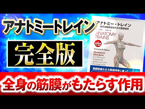 2025年完全版】アナトミートレイン7種類のそれぞれの作用をこの