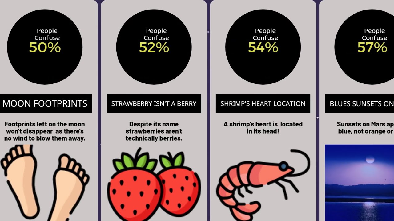 Facts That Will Confuse Even the Smartest People [Comparison] - YouTube