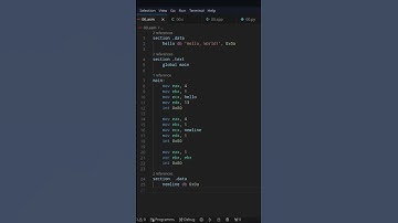 Hello world in ASM #programming #assembly