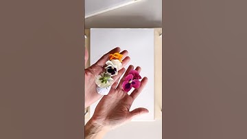 🌺 A DIY Flower Press in Minutes!