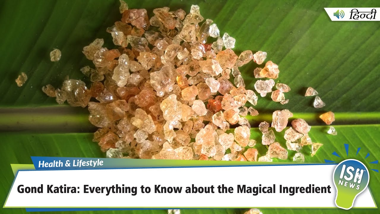 Gond Katira: Everything to Know about the Magical Ingredient | ISH News