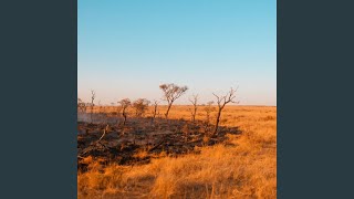 Savanna of Burn