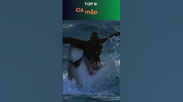 "ĐỘC LẠ" 10 loài cá săn mồi trên cạn