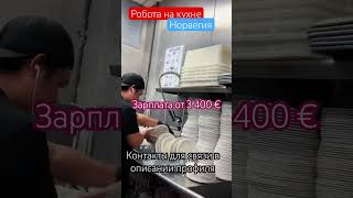 Контакты для связи в описании профиля 📩 #работазаграницей #рабочаяпоездка #работа #новости