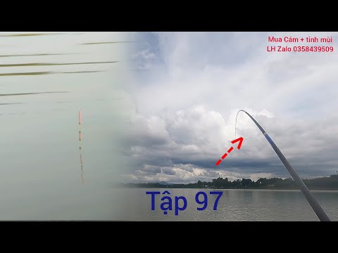 Video Fishing | Câu Đài | Tập 97 | Đang Giật Tê Người Thì... - youtube