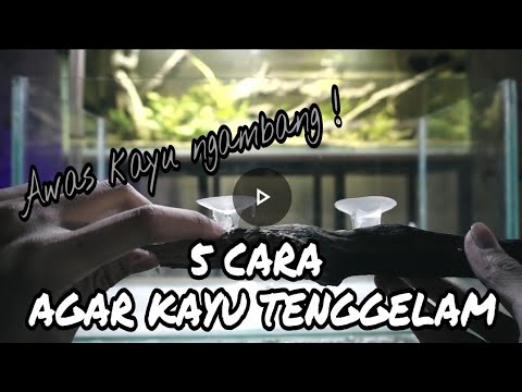 Cara menyambung papan kayu - rapat kuwat broo. 