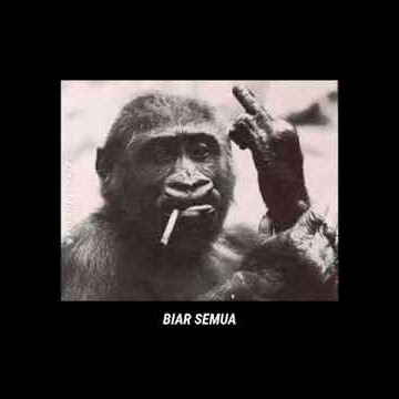 SNAP WA TERBARU 2020 - ADU DU DU..