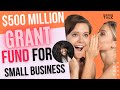 $500 MILLION GRANT FUND FOR SMALL BUSINESS | #FREEMONEY | SHE BOSS TALK