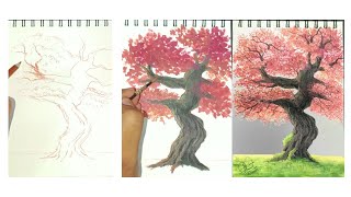 How to draw a cherry blossom tree / how to draw a tree / easy tree drawing