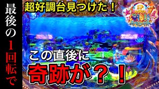 【243日目】P大海物語4スペシャルで、まさか最後の保留で奇跡が？こんなに良い台見たことない（ガチ実践動画2021/2/26）