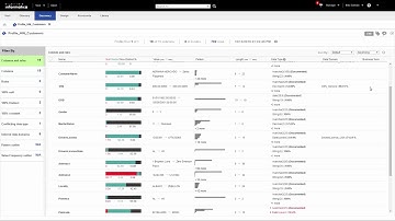 Informatica Analyst Data Steward Walkthrough
