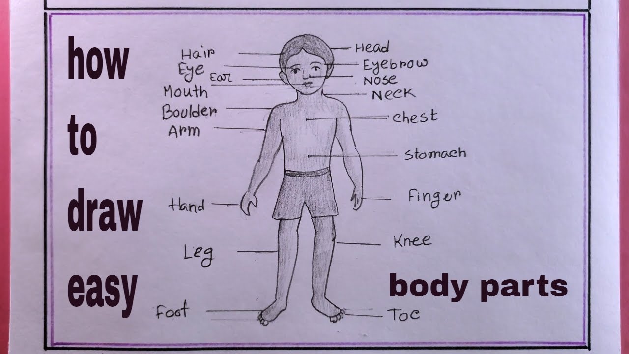 Body parts picture description: English ESL worksheets pdf & doc