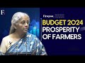 Budget 2024 modi govt says agriculture sector set for inclusive growth  balanced productivity