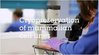 Cryopreservation of mammalian cell lines video protocol