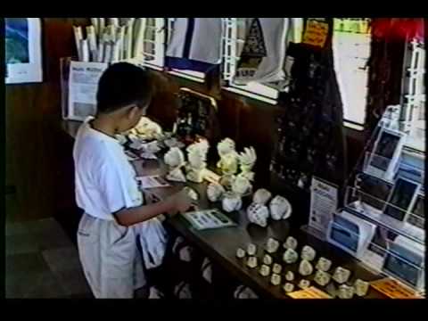 gigaset Marketing Giant Clam Shells