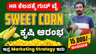 How To Start Sweet Corn Farming Sweet Corn Cultivation Complete Details In Kannada | ಸಿಹಿ ಮೆಕ್ಕೆಜೋಳ