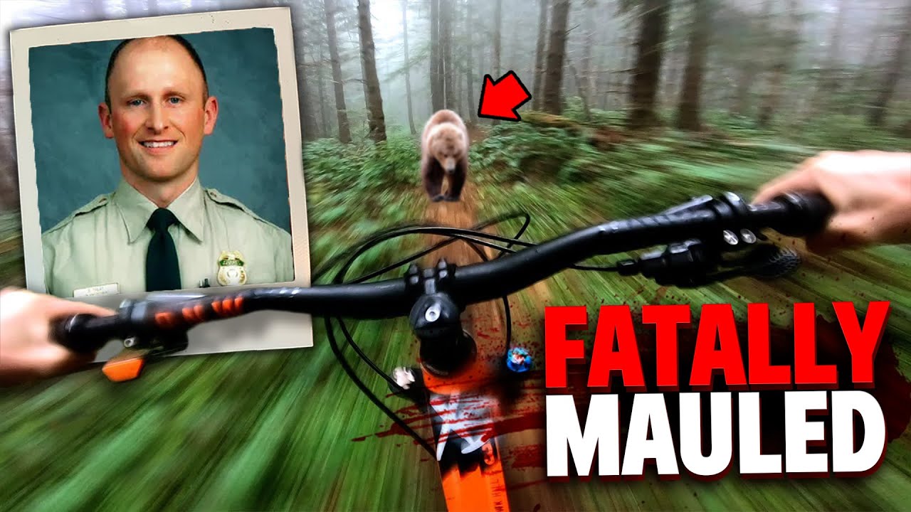 This Police Officer Drives Into a Bear and Gets Fatally Mauled While Biking!